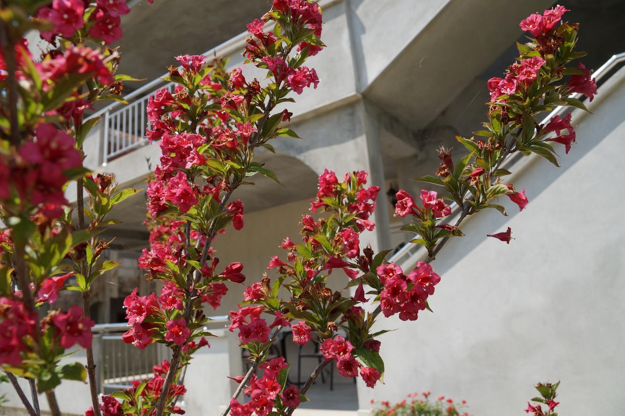 Apartments Marija Tivat Ngoại thất bức ảnh